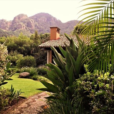 Arete (Adults Only) Hotel Tepoztlan Exterior photo