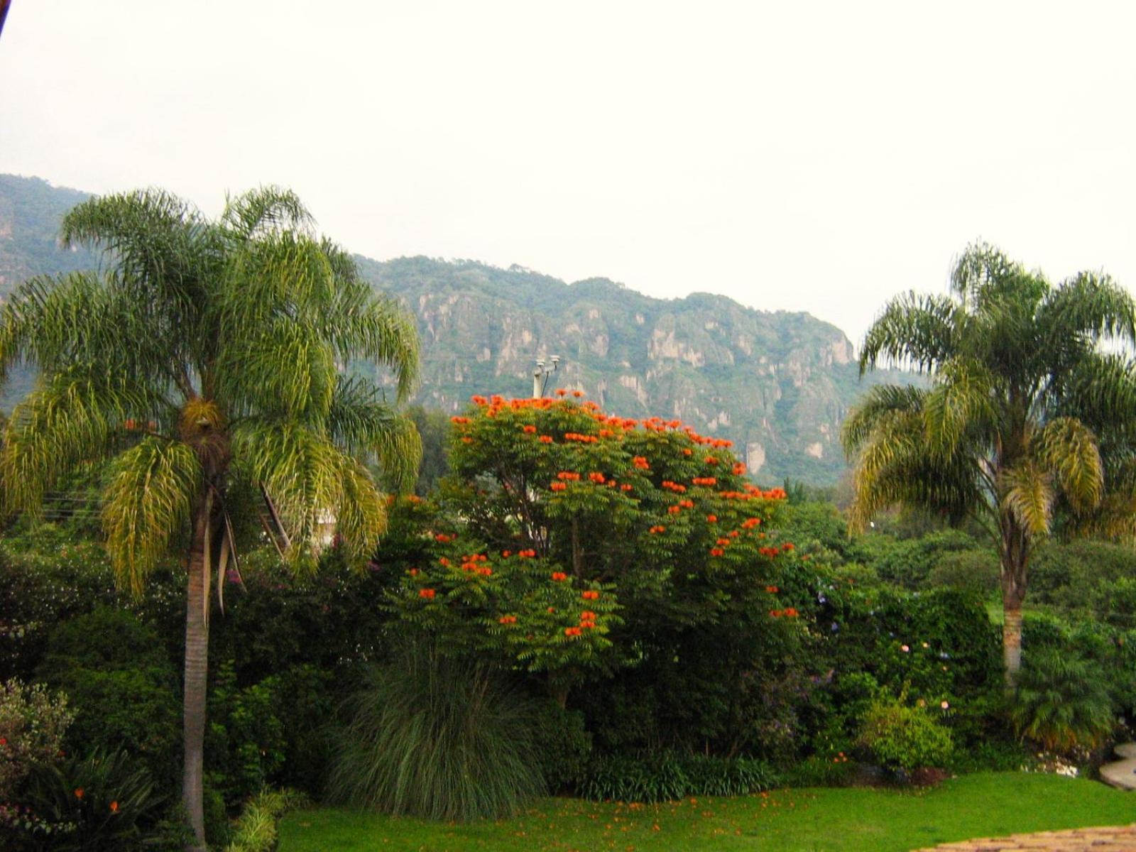 Arete (Adults Only) Hotel Tepoztlan Exterior photo